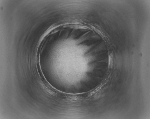 X0000083610195200702260936