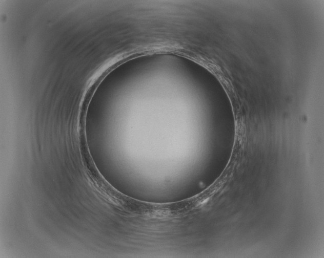 X0000083610196200702260936