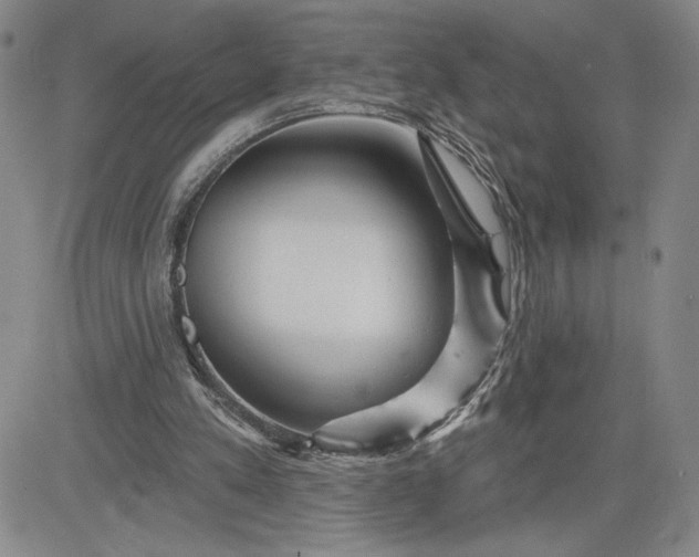 X0000083610197200702260936