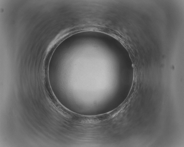 X0000083610198200702260936