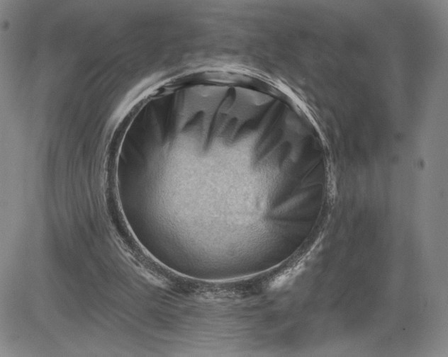 X0000083610199200702260936