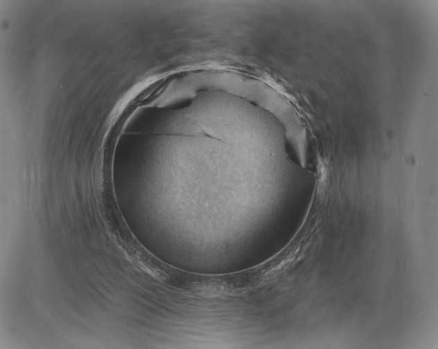 X0000083610200200702260936