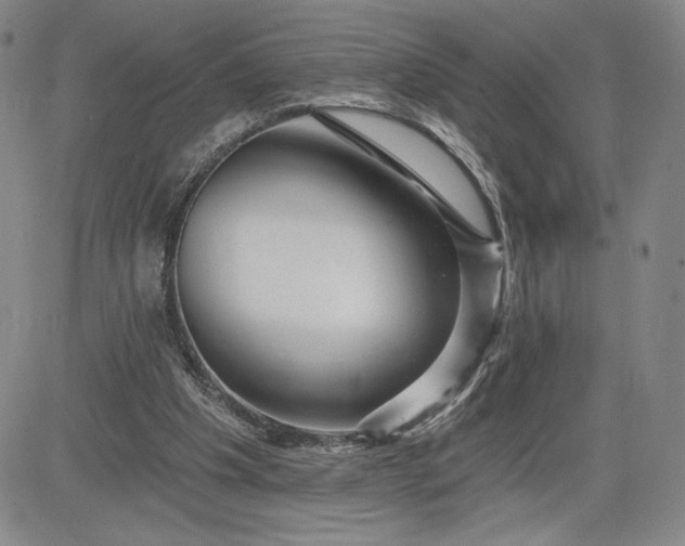 X0000083610201200702260936