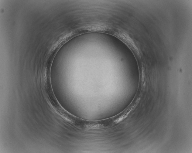 X0000083610202200702260936