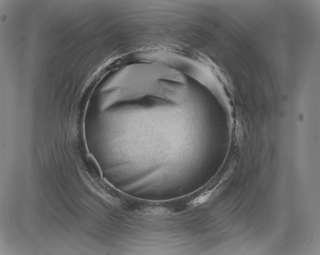 X0000083610203200702260936