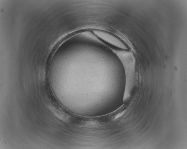 X0000083610204200702260936