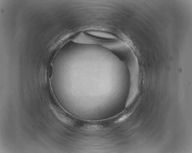 X0000083610205200702260936