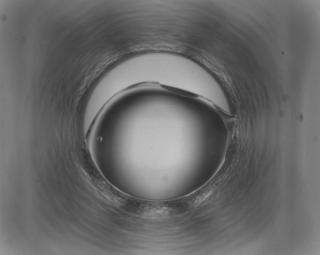 X0000083610206200702260936