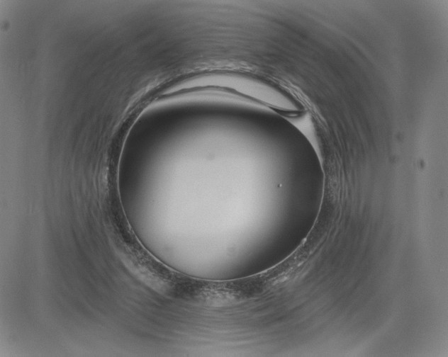 X0000083610207200702260936