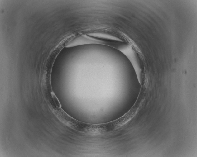 X0000083610209200702260936