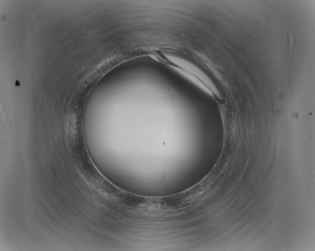 X0000083610211200702260936