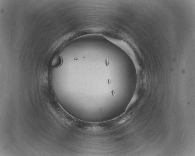 X0000083610212200702260936