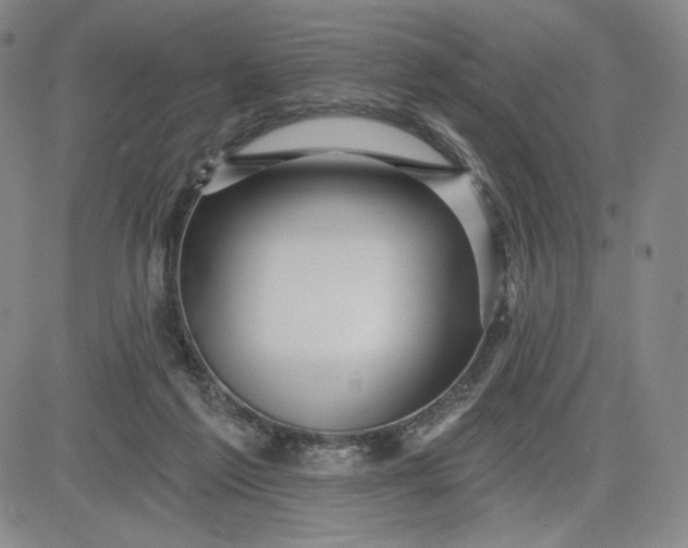 X0000083610213200702260936