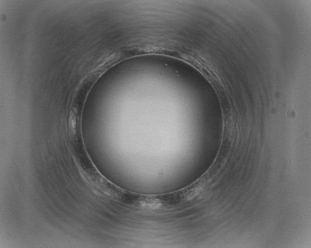 X0000083610214200702260936