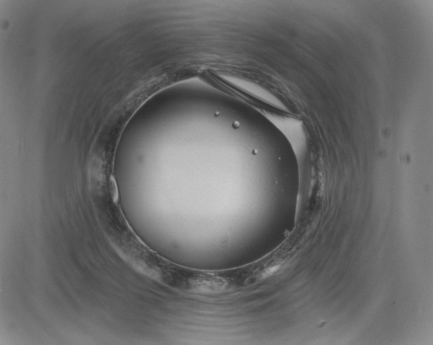 X0000083610215200702260936