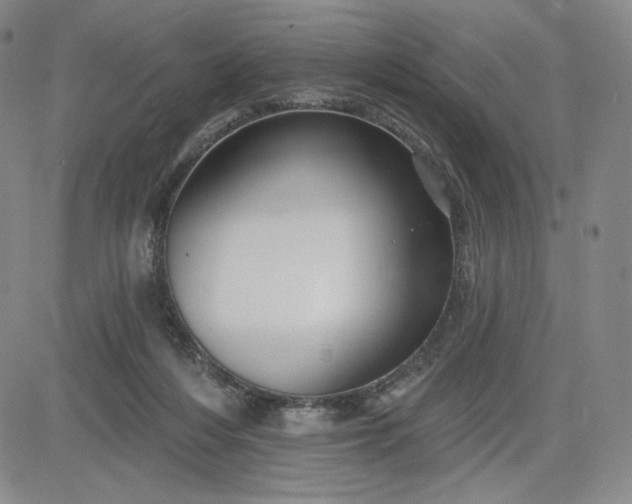 X0000083610216200702260936