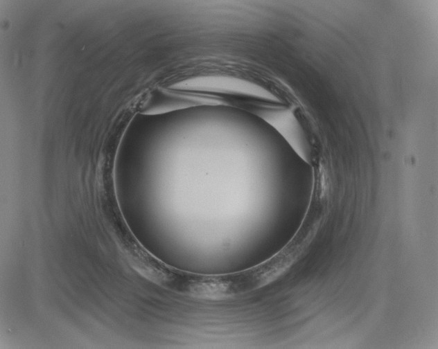 X0000083610217200702260936