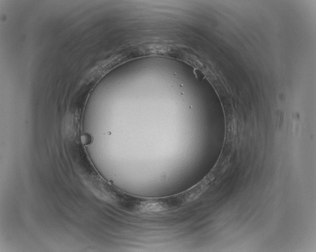 X0000083610218200702260936