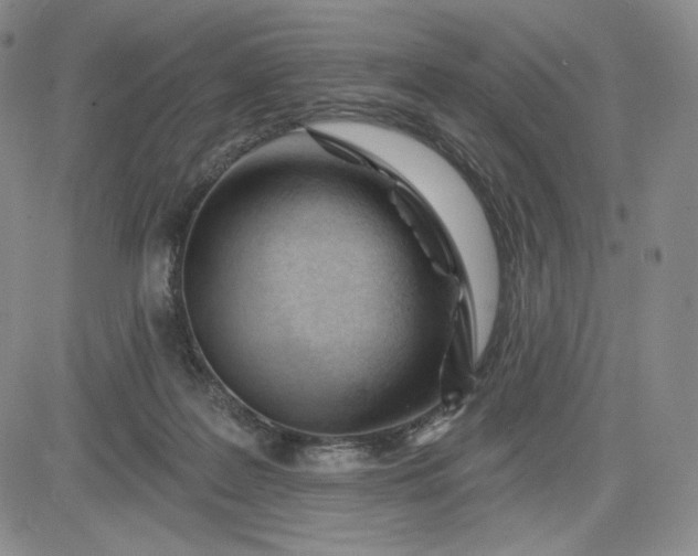 X0000083610219200702260936