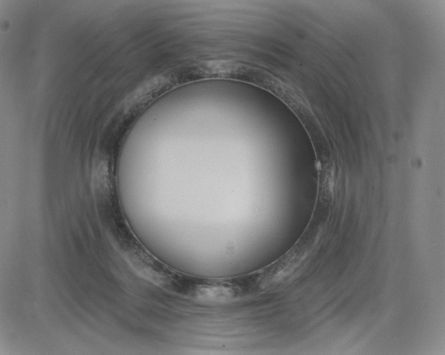 X0000083610220200702260936