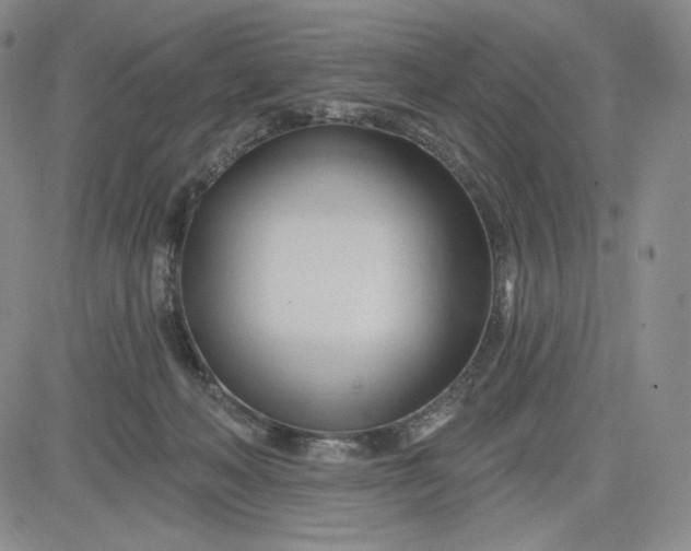 X0000083610222200702260936