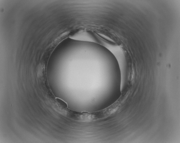 X0000083610225200702260936