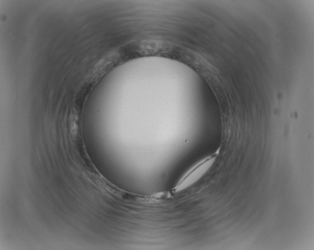 X0000083610226200702260936