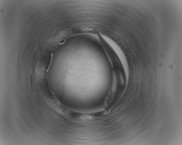 X0000083610227200702260936