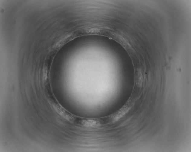 X0000083610230200702260936