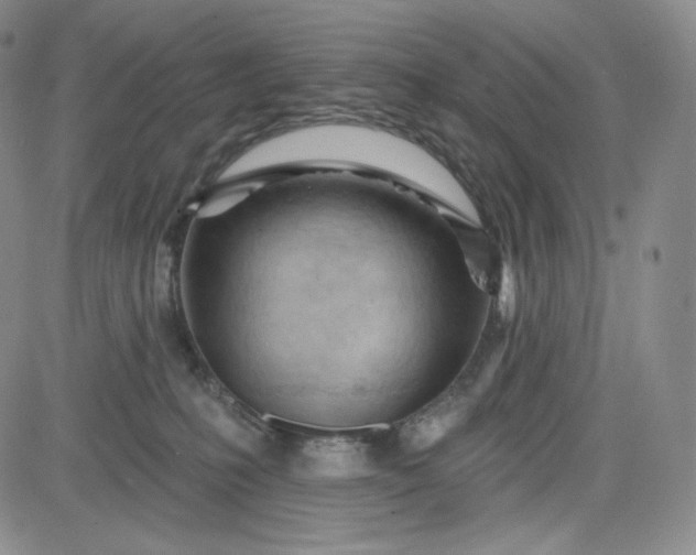 X0000083610231200702260936