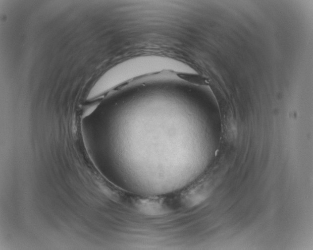 X0000083610232200702260936