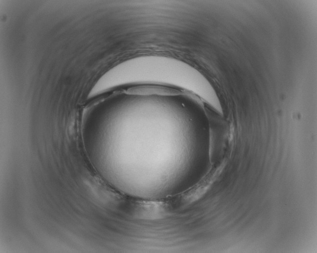 X0000083610233200702260936