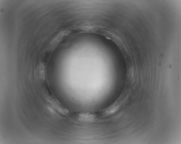 X0000083610234200702260936