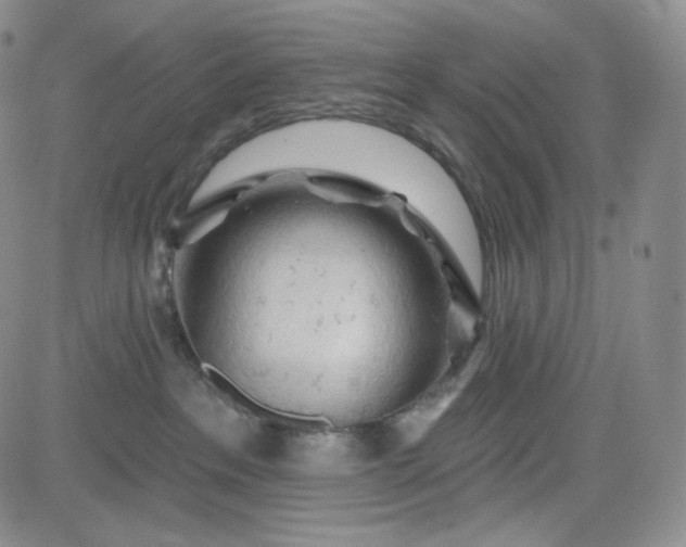 X0000083610237200702260936