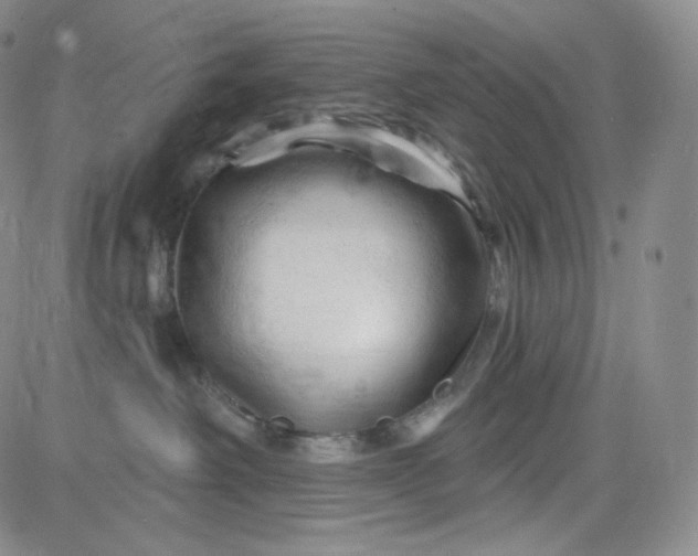 X0000083610238200702260936