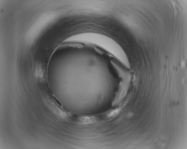 X0000083610239200702260936