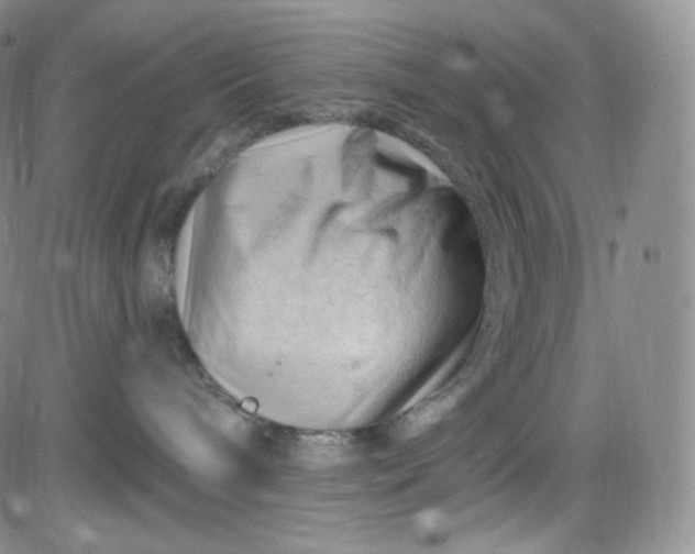 X0000083610240200702260936