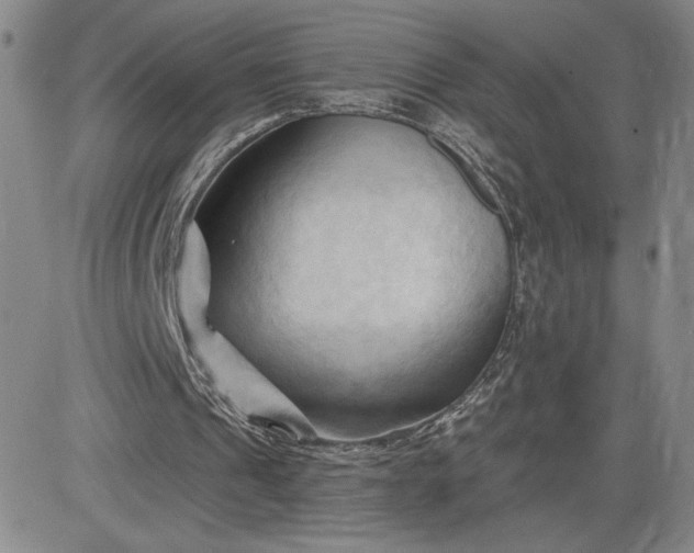 X0000083610241200702260935