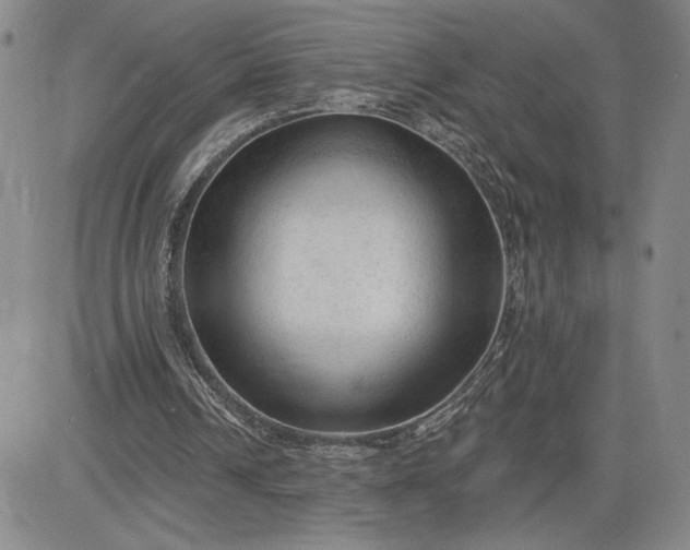 X0000083610242200702260935