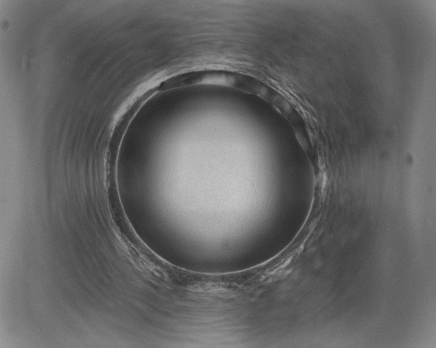 X0000083610244200702260935