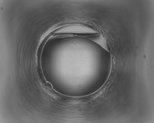 X0000083610246200702260935