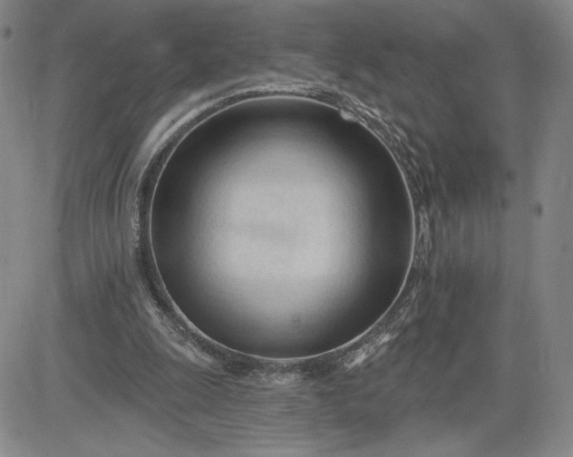 X0000083610247200702260935