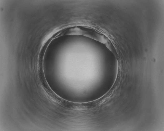 X0000083610248200702260935