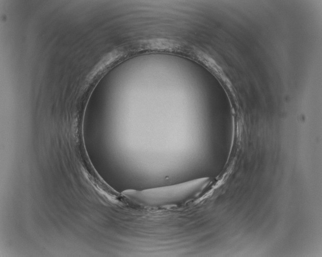 X0000083610249200702260935