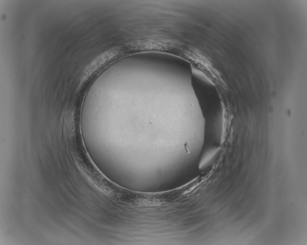 X0000083610250200702260935