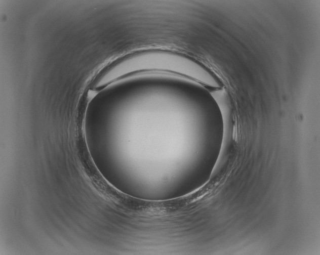 X0000083610252200702260935