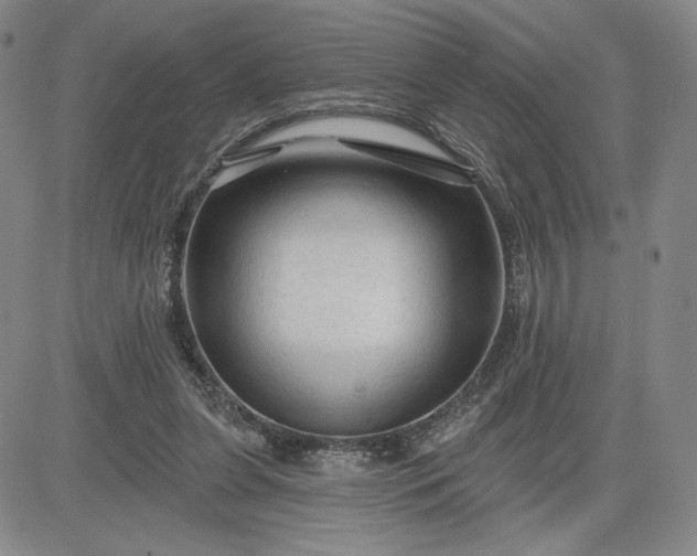 X0000083610255200702260935