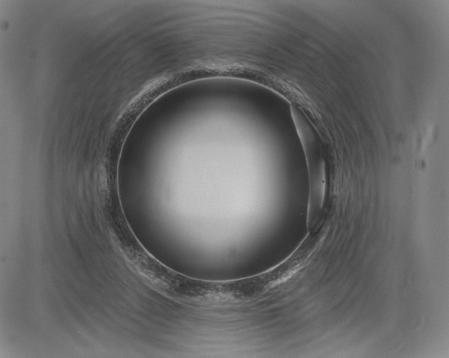 X0000083610256200702260935