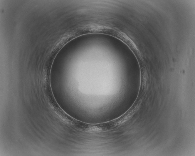 X0000083610257200702260935