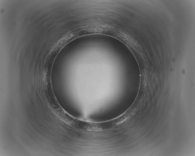 X0000083610258200702260935